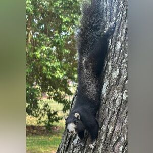 Loving spring 💚 Sharing the Love of the